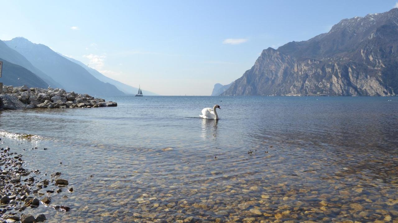 My Suite Home - Riva Del Garda Eksteriør bilde
